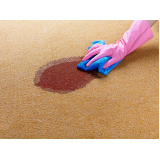 empresa de limpeza carpete profissional Fazendinha